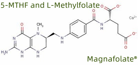 5-MTHF i L-metylofolian