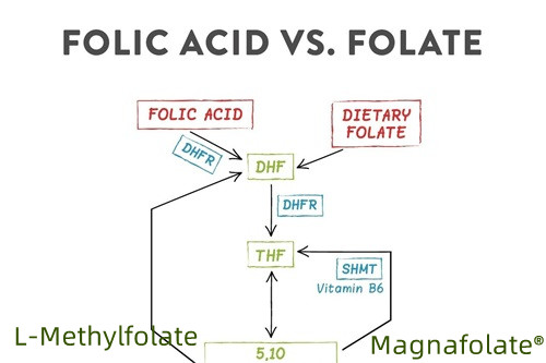 Podsumowanie kwasu foliowego i L-metylofolianu