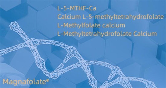 L-5-metylotetrahydrofolian wapnia Cas151533-22-1