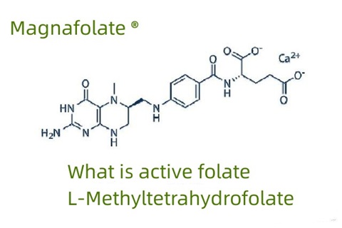 Co to jest aktywny folian i L-metylotetrahydrofolian