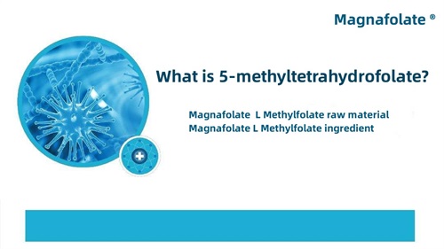 Co to jest 5-metylotetrahydrofolian?