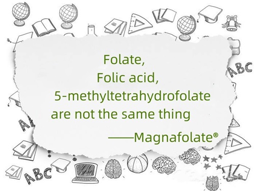 Kwas foliowy, kwas foliowy i 5-metylotetrahydrofolian to nie to samo