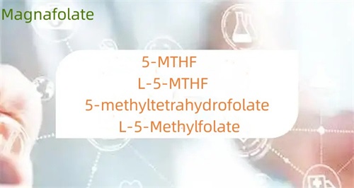 Jaka jest różnica między 5-metylotetrahydrofolianem a folianem