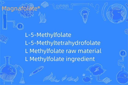 Co robi L-metylofolian?