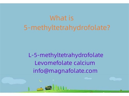 Co to jest 5-metylotetrahydrofolian?