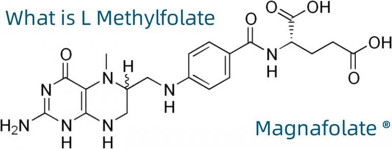 L-5-metylotetrahydrofolian wapnia Nr CAS: 151533-22-1