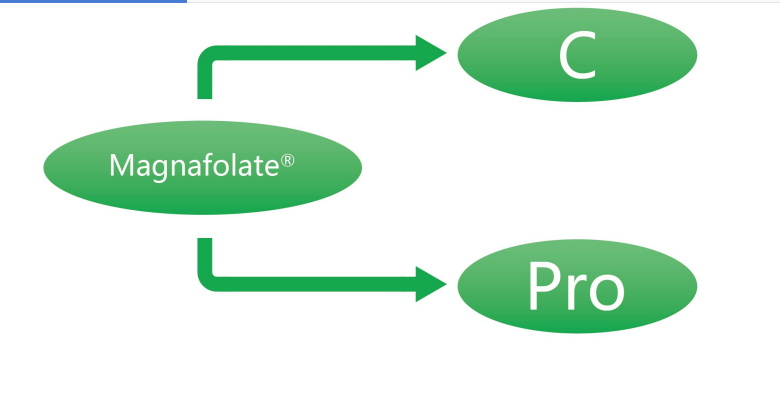 Magnafolan C i Pro-L-metylofolan wapnia