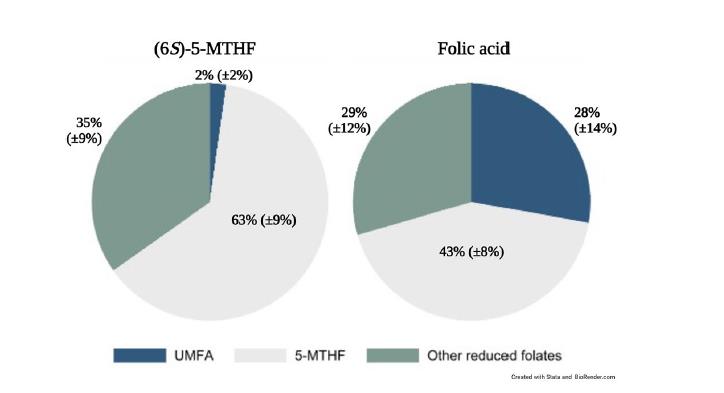 Strzec się! Badanie opublikowane w Scientific Reports potwierdza, że ​​gdy kobiety karmiące piersią uzupełniają kwas foliowy, 28% kwasu foliowego w ich mleku to niezdatny do spożycia niezmetabolizowany kwas foliowy (UMFA) – 14 razy więcej niż u matek przyjmujących tę bioaktywną formę.